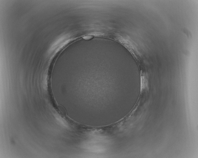 X0000115660243200911251715