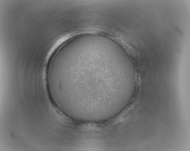 X0000115660244200911251715