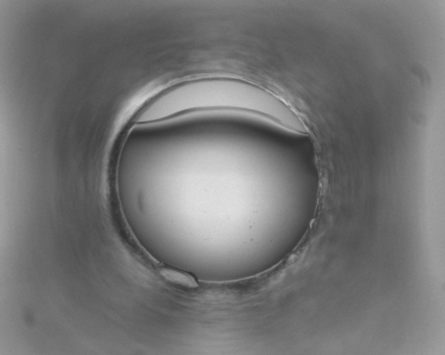X0000115660248200911251715