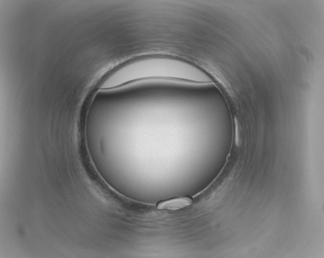 X0000115660252200911251715