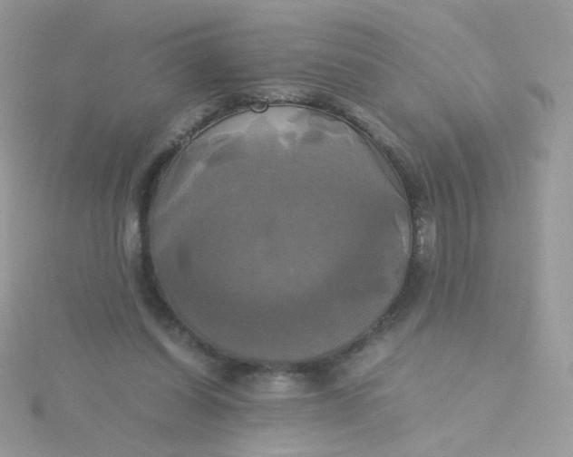 X0000115660254200911251715