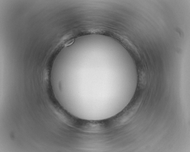 X0000115660260200911251715