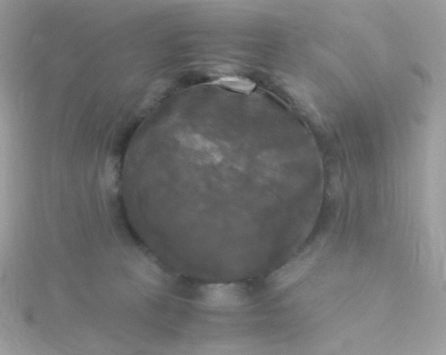 X0000115660273200911251716