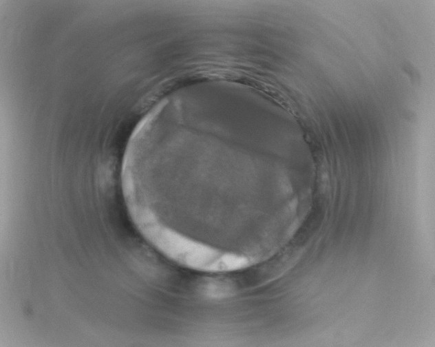 X0000115660275200911251716