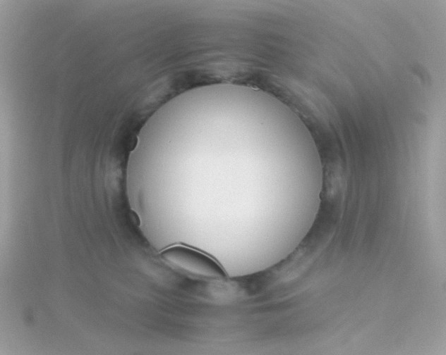 X0000115660279200911251716