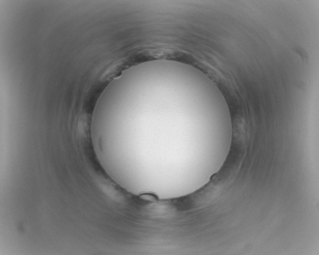 X0000115660280200911251716