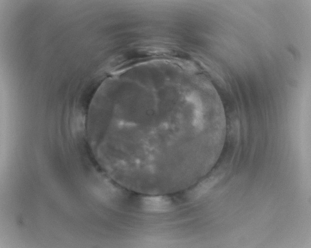 X0000115660281200911251716