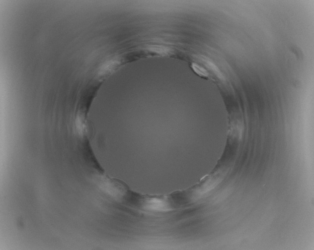 X0000115660285200911251716