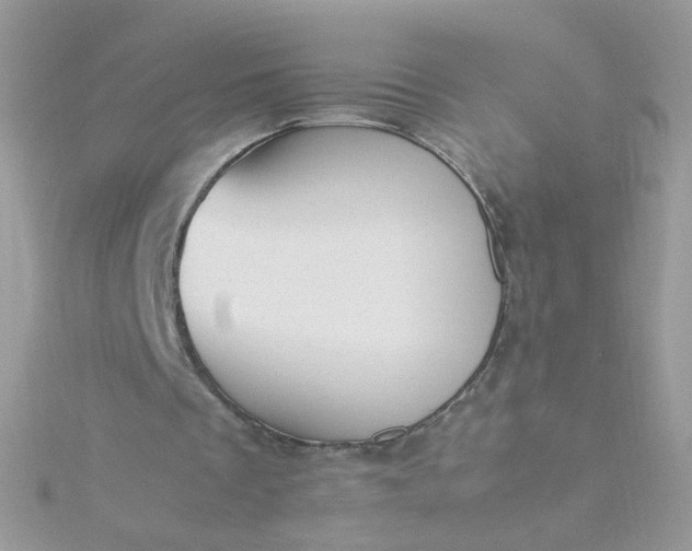 X0000115660289200911251715