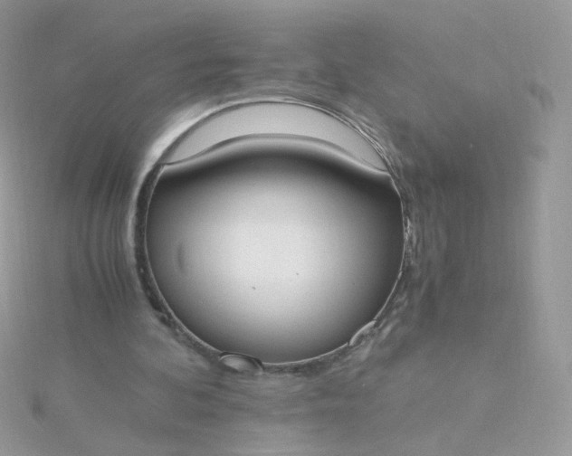 X0000115660292200911251715