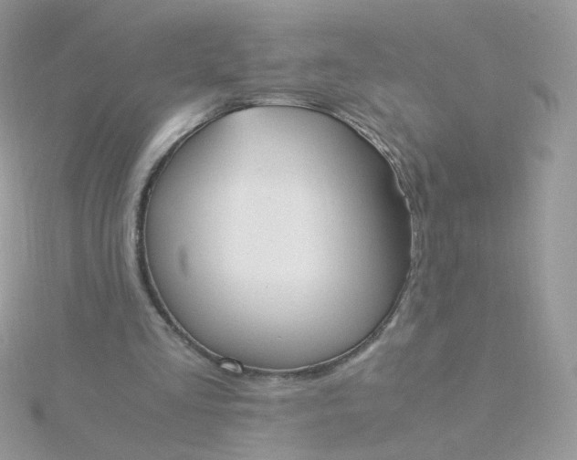 X0000115660293200911251715