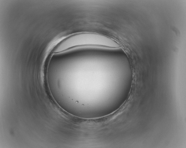 X0000115660294200911251715