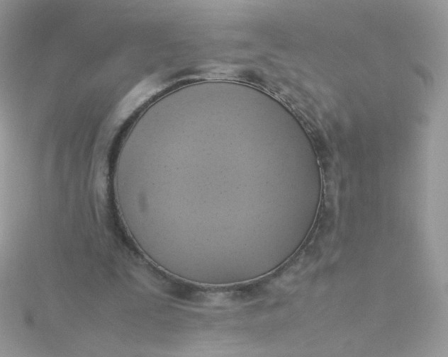 X0000115660295200911251715