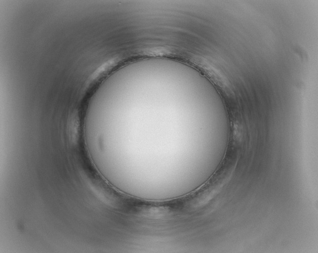 X0000115660304200911251715