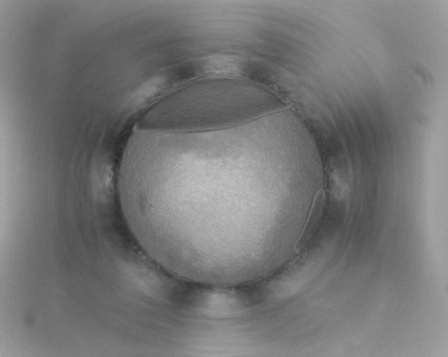 X0000115660308200911251715