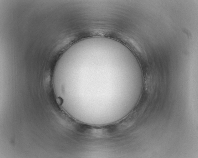 X0000115660314200911251715
