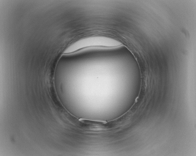 X0000115660316200911251715