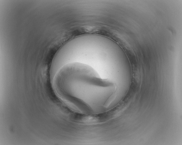 X0000115660319200911251715
