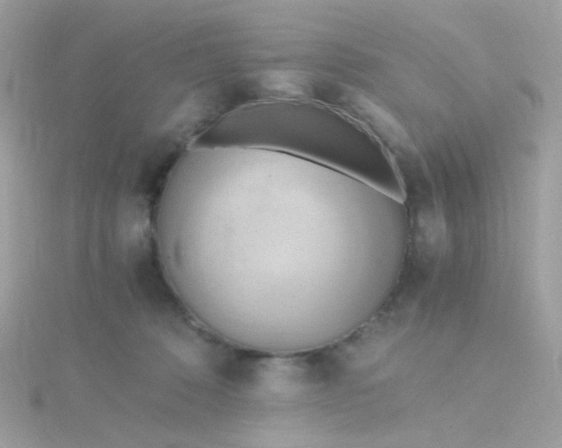 X0000115660320200911251715