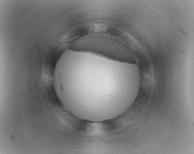 X0000115660324200911251715