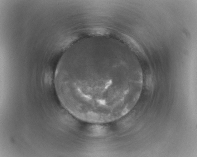X0000115660326200911251715