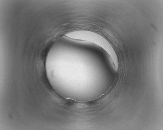 X0000115660327200911251715