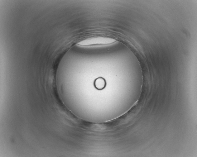 X0000115660328200911251715