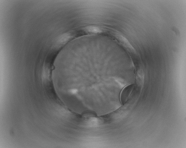 X0000115660330200911251715