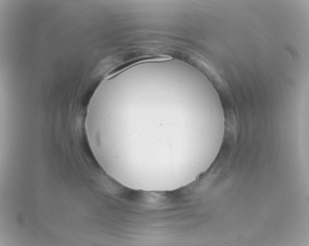 X0000115660333200911251715