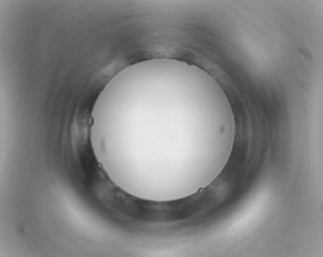 X0000115660334200911251715