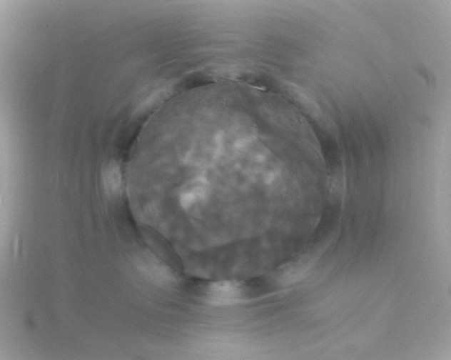 X0000115660335200911251715