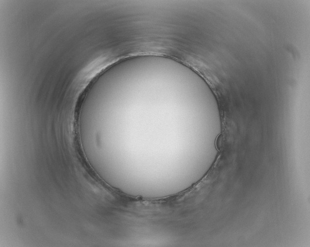 X0000115660338200911251714