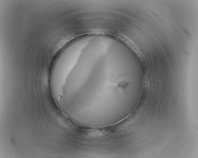 X0000115660347200911251714