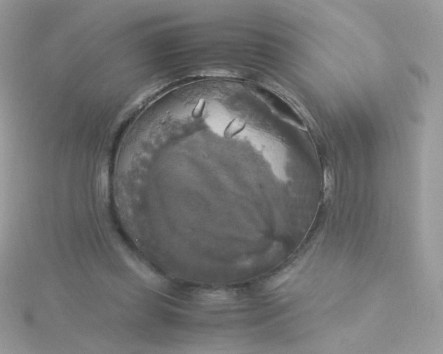 X0000115660349200911251714