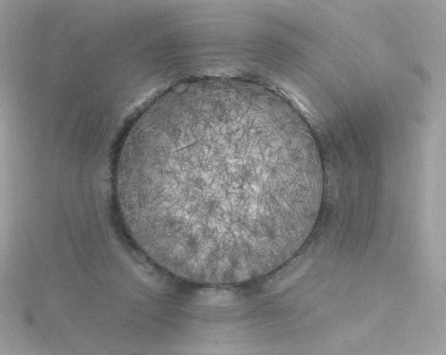 X0000115660354200911251714