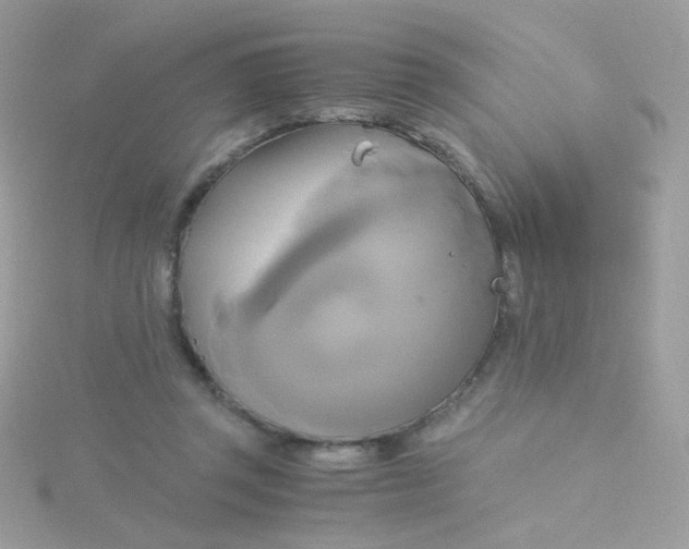 X0000115660357200911251714