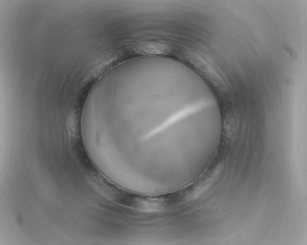 X0000115660359200911251714