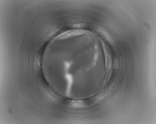 X0000115660363200911251714