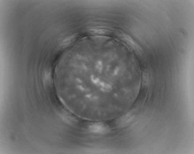 X0000115660377200911251715