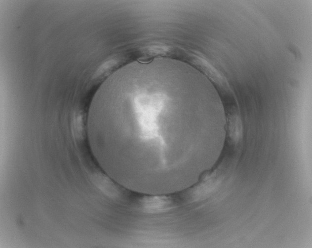 X0000115660378200911251715
