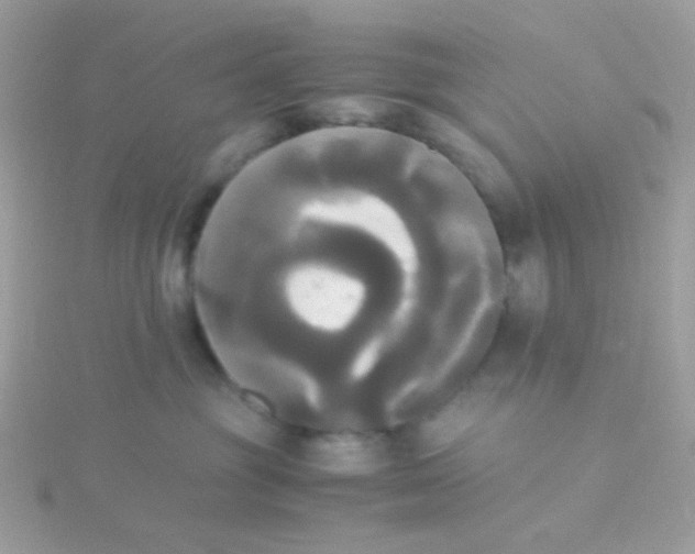 X0000115660381200911251715