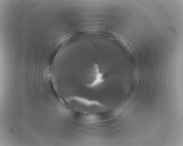 X0000115660383200911251715