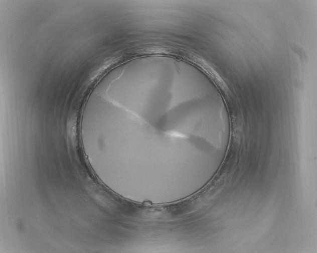 X0000115660386200911251714