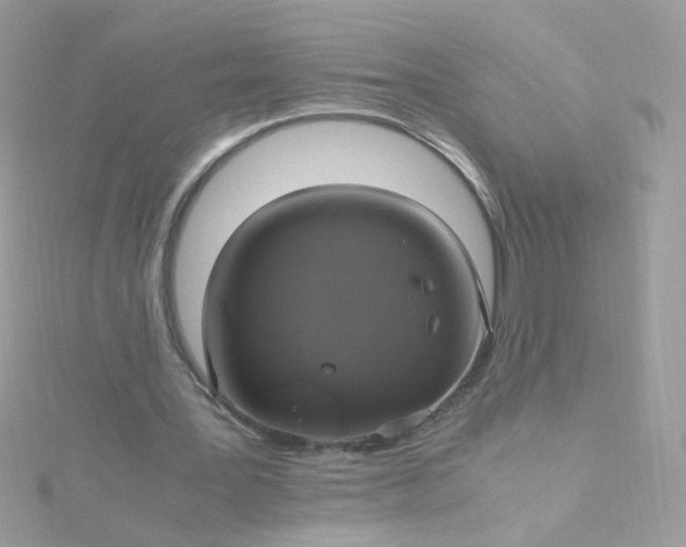 X0000115660387200911251714