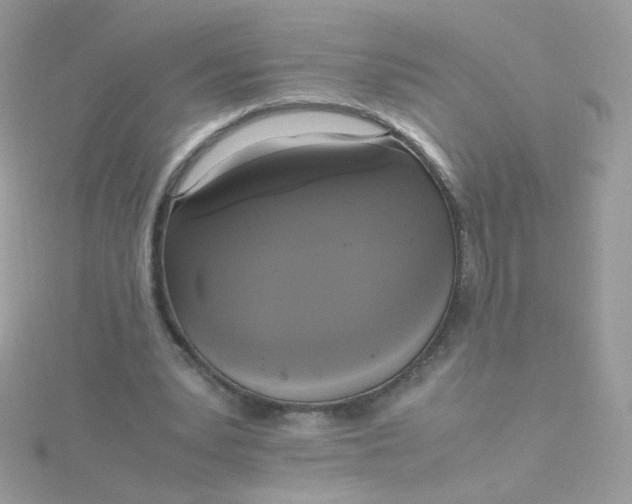 X0000115660391200911251714