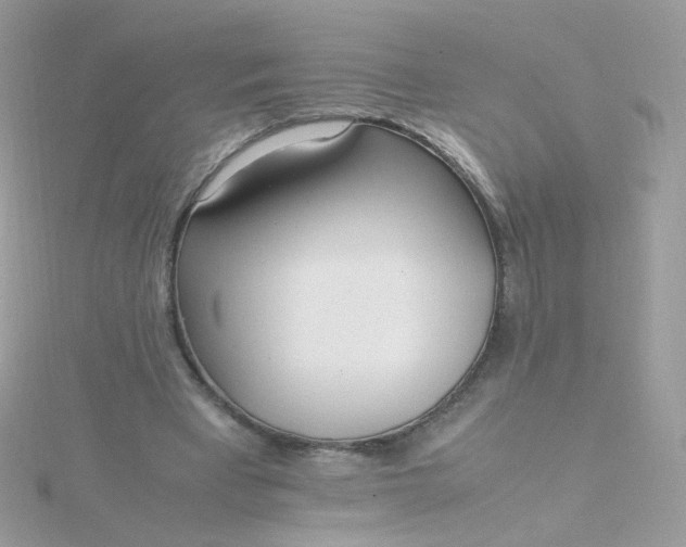 X0000115660393200911251714