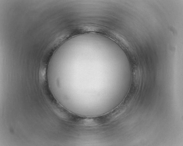 X0000115660406200911251714