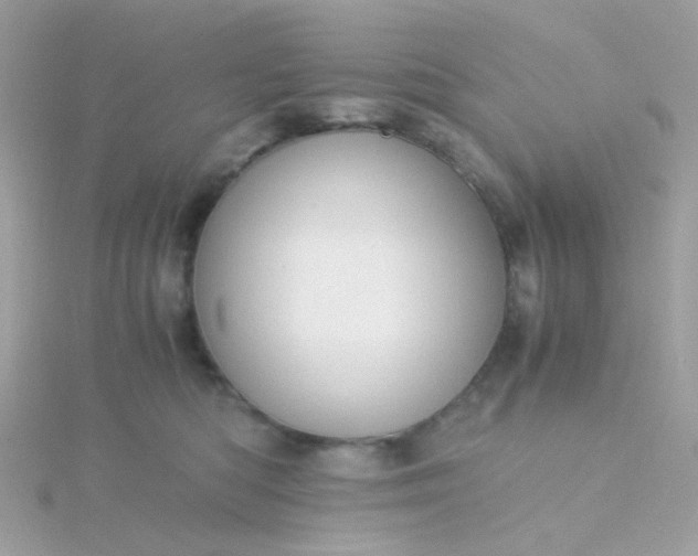 X0000115660422200911251714