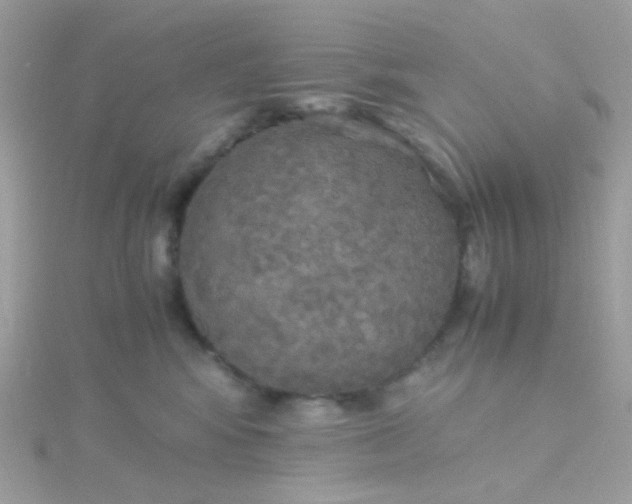 X0000115660424200911251713