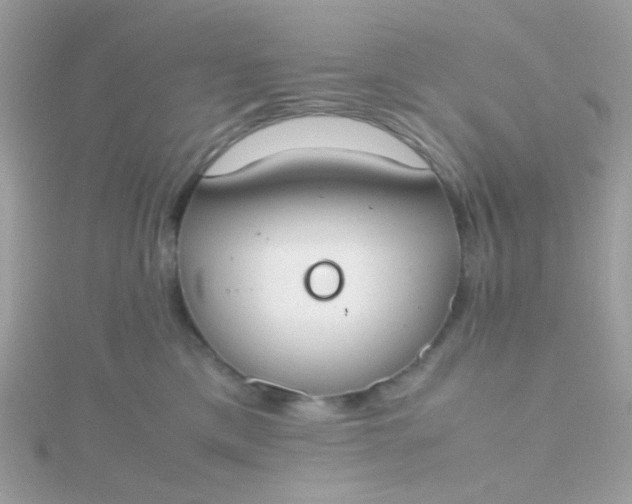 X0000115660425200911251713